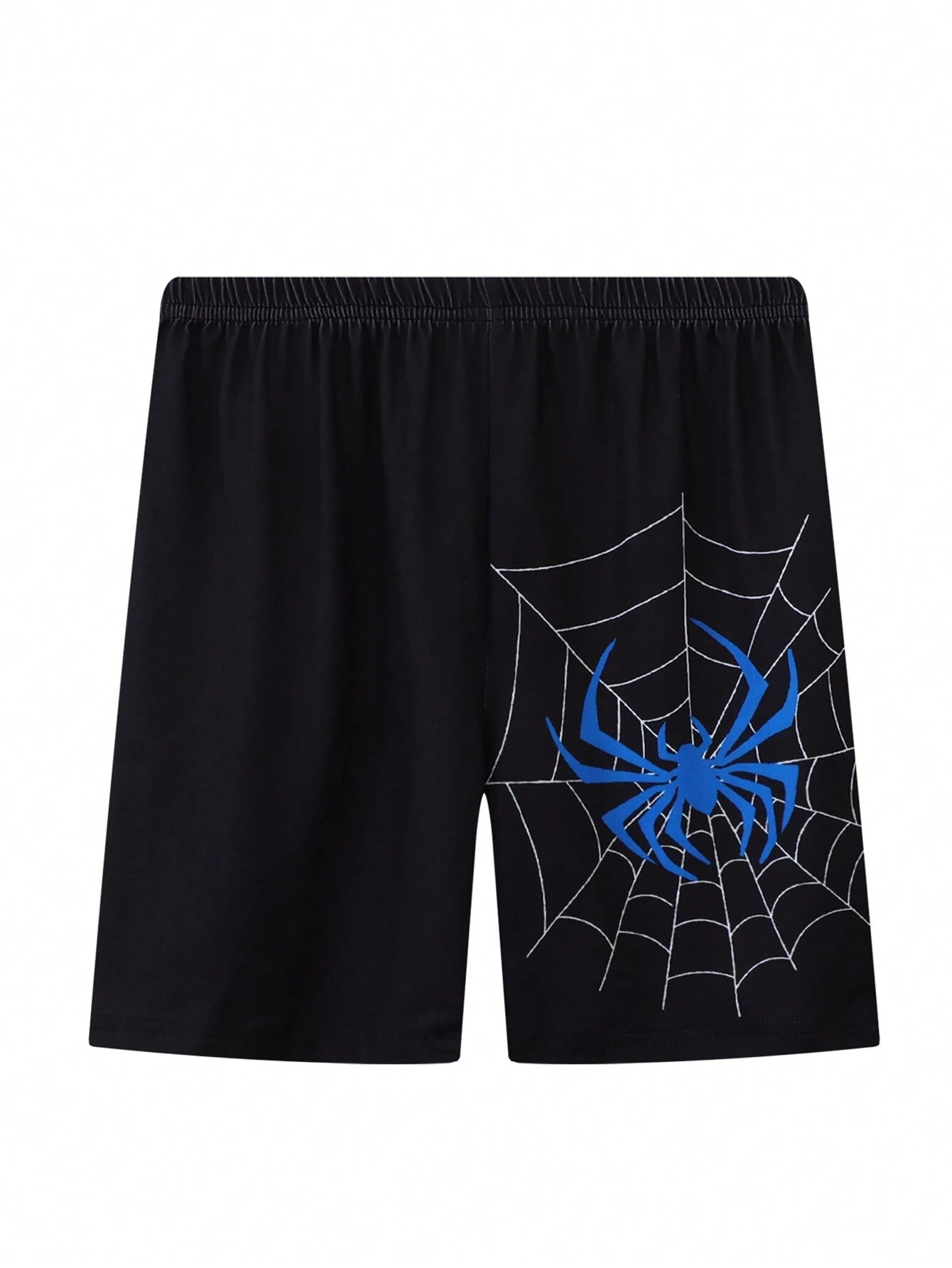 Spider Web Graphic
