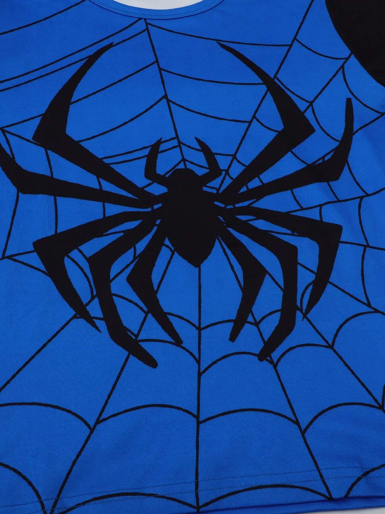 Spider Web Graphic