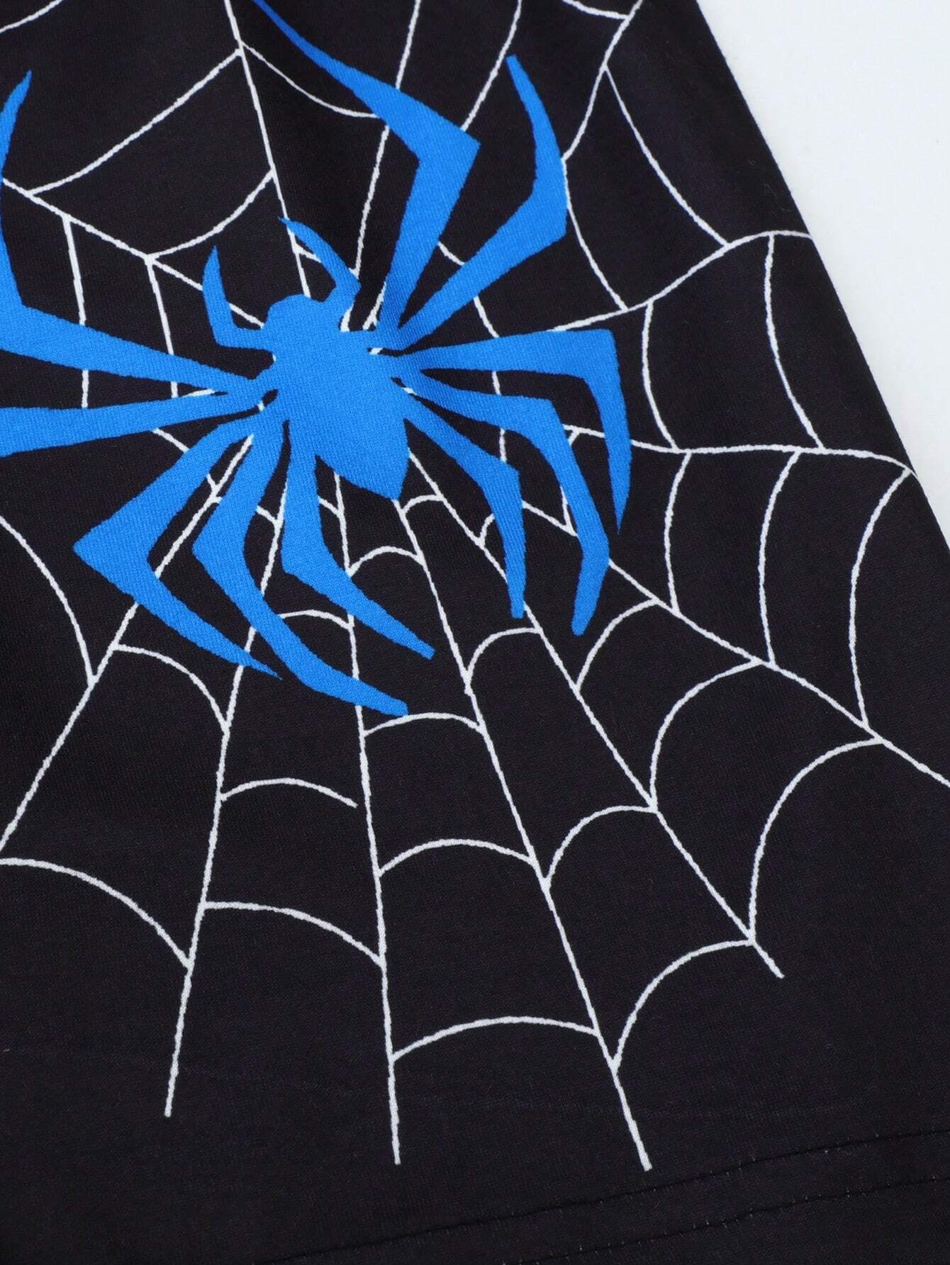 Spider Web Graphic